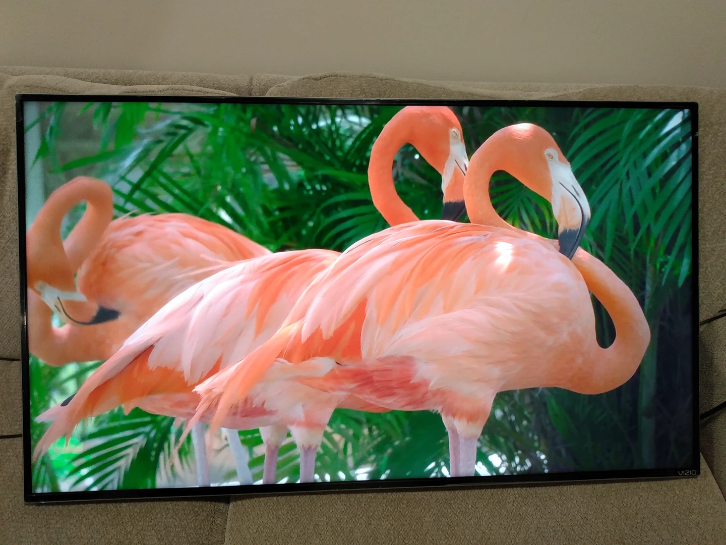 Vizio 43 inch Ultra HD 4K Smart TV - photo 3