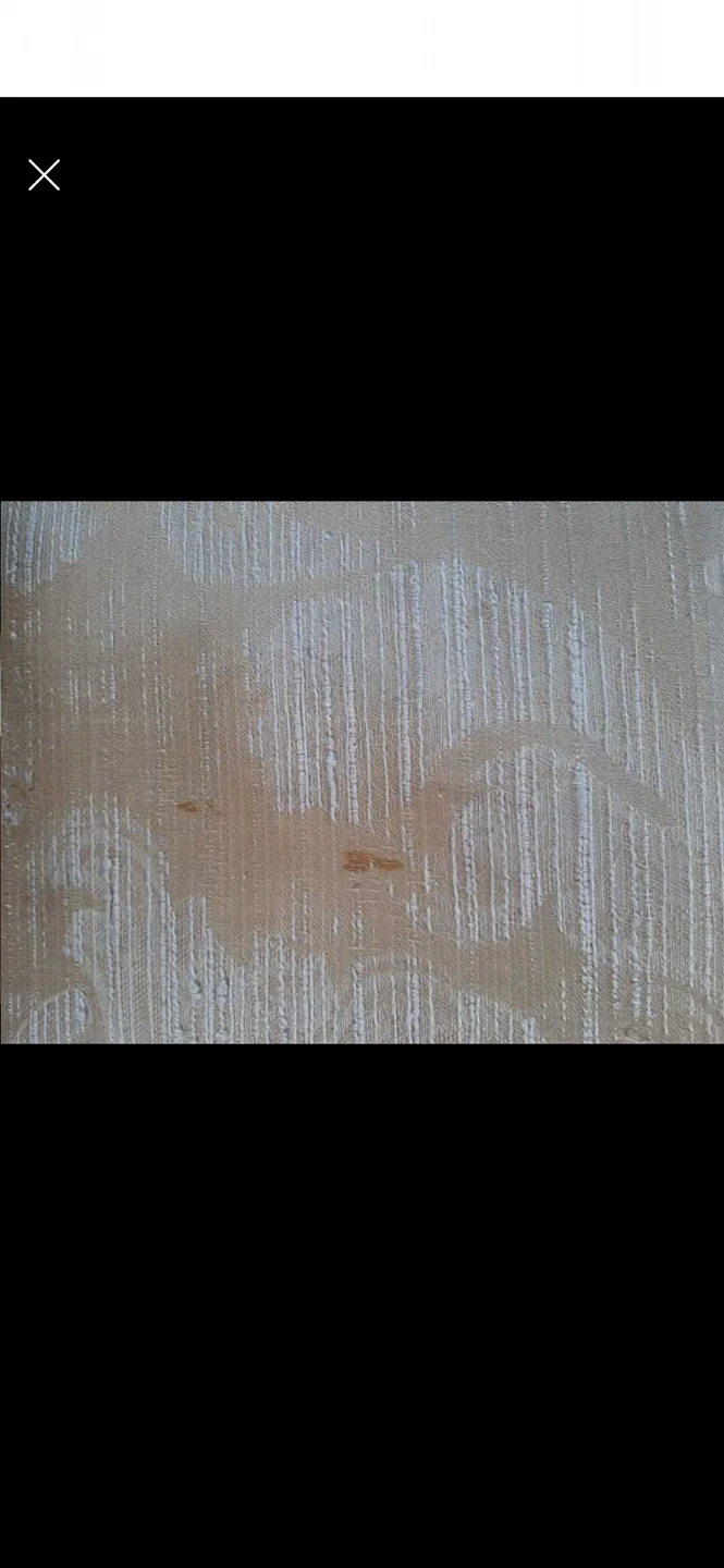✨free✨ gently used couch - photo 4