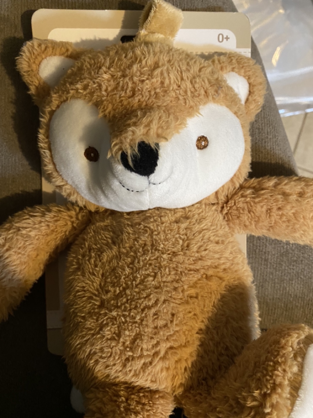 Teddy bear 🧸  thumbnail
