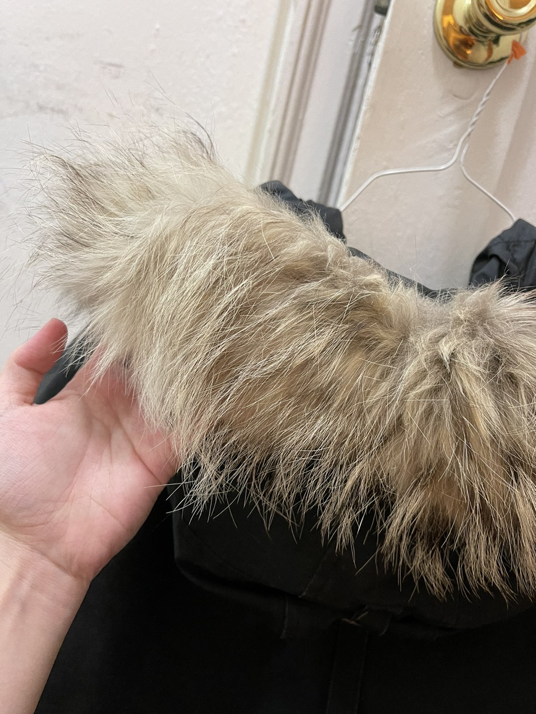 Canada Goose men Size L - photo 3