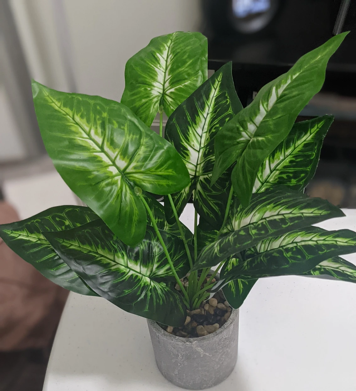 Artificial plants for sale !
