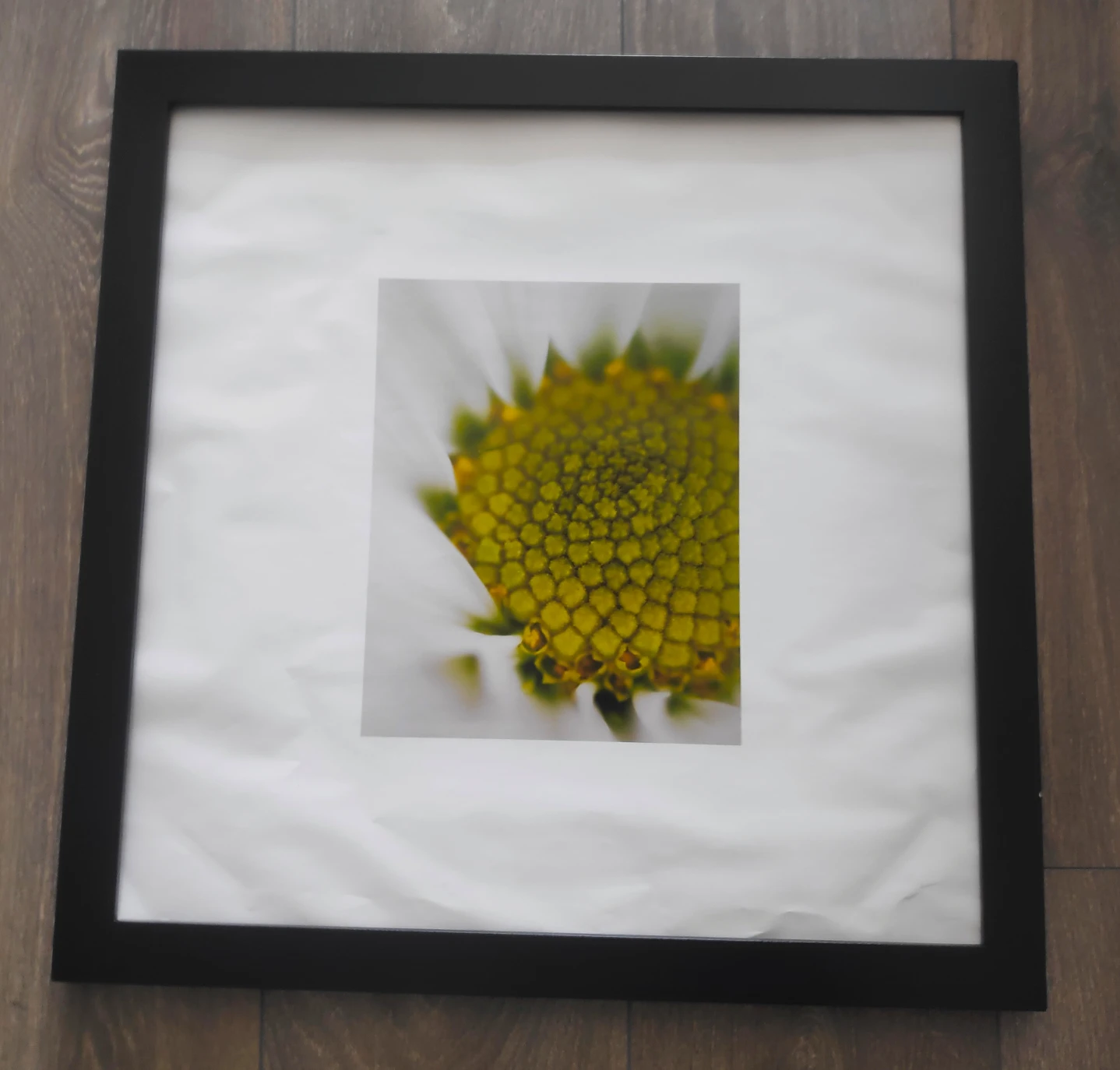 #IWD Michaels Frame w/o Glass 20 in x 20 in
