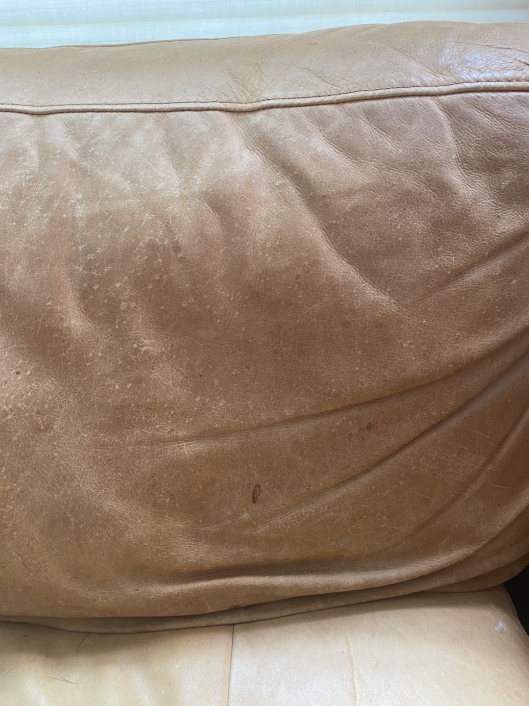 Article Sven Sofa 2.5 Seater Tan Leather - photo 5