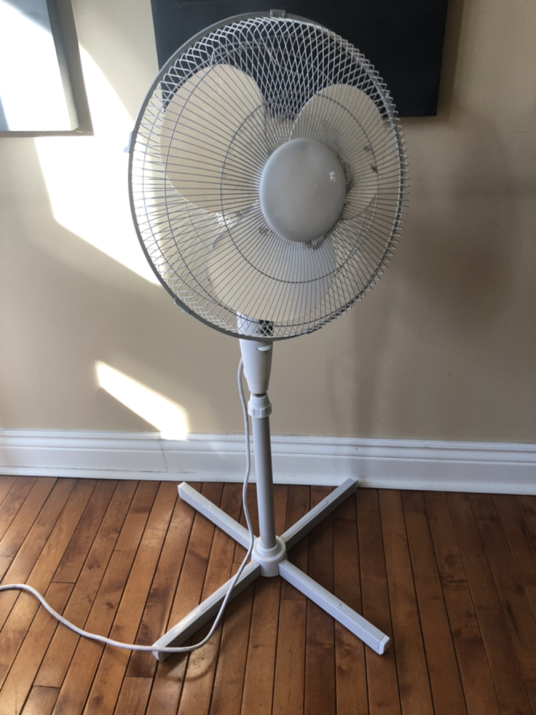 Rotating fan