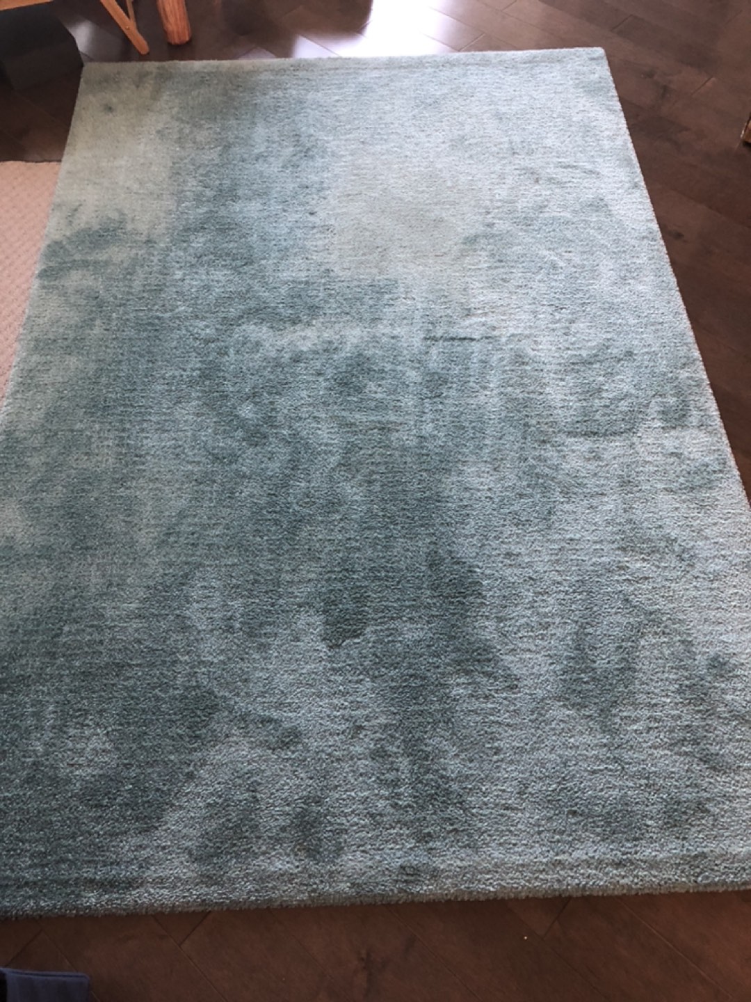 Ikea Rug thumbnail
