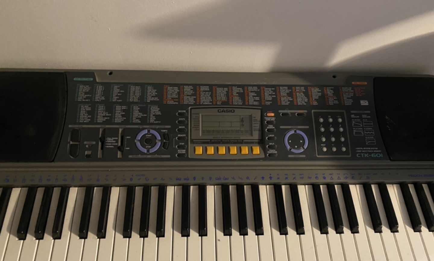 CASIO Electric Organ.  thumbnail