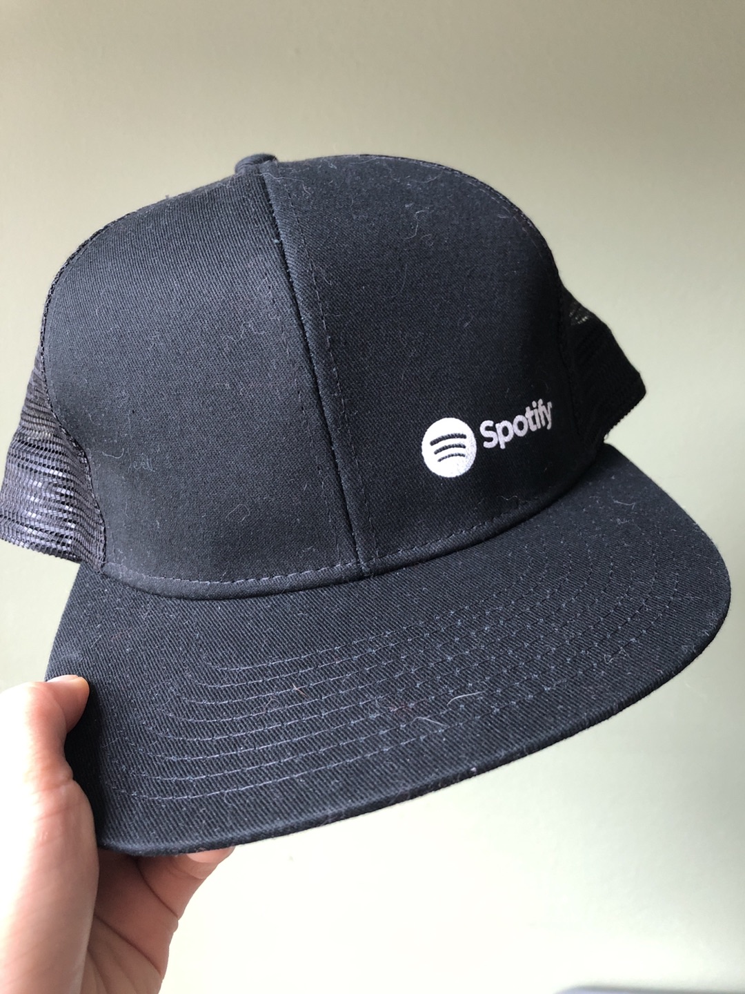 Spotify Branded Snapback