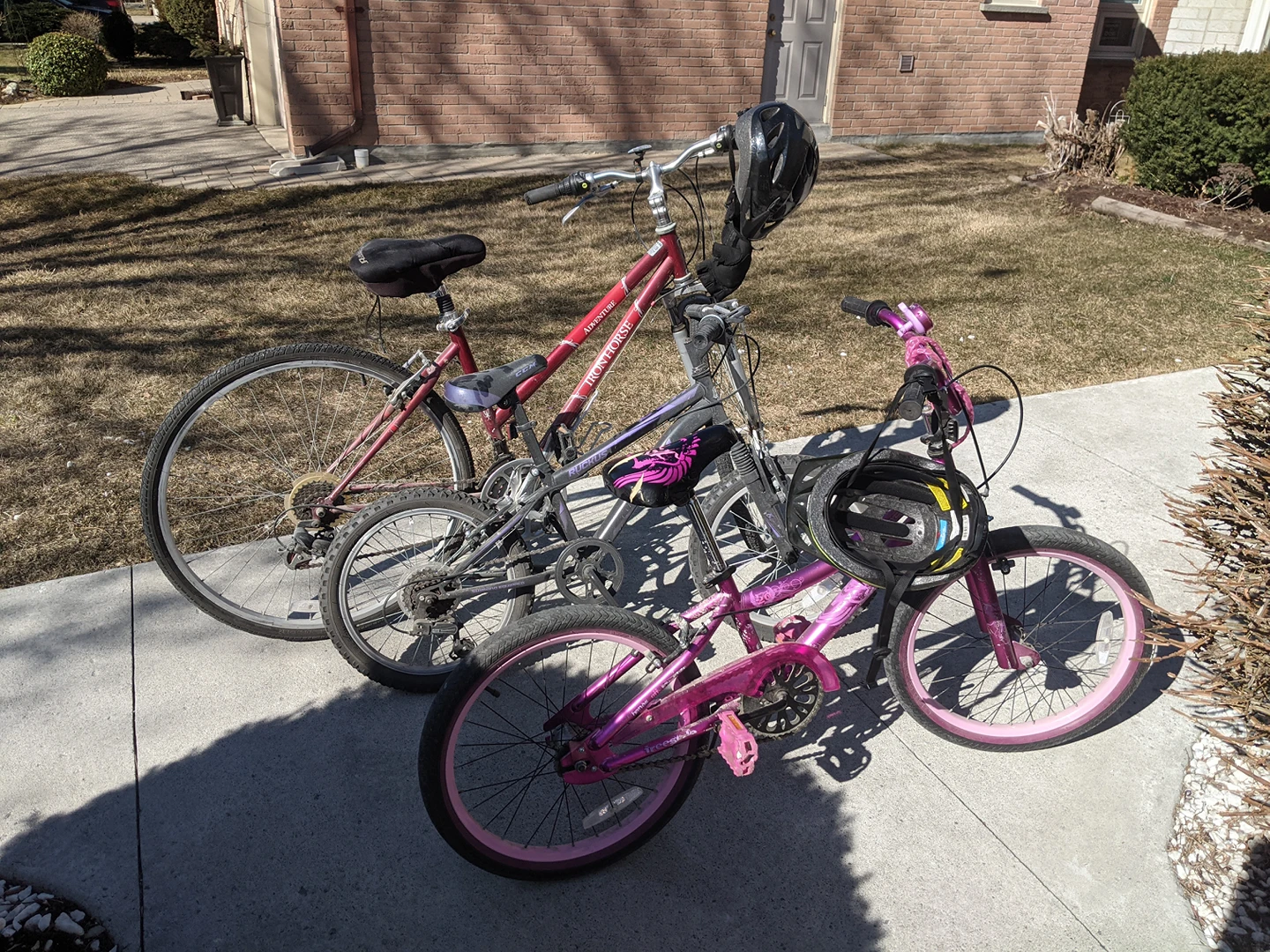 3 bikes, 1 adult 2 youth