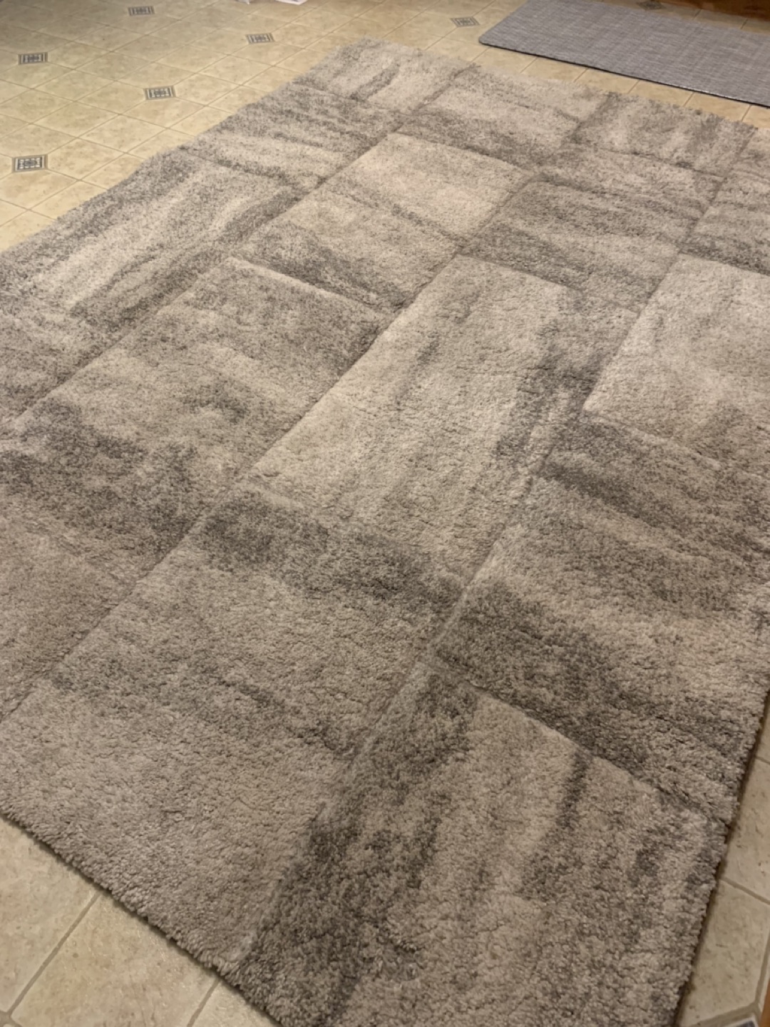 Area Rug - photo 3