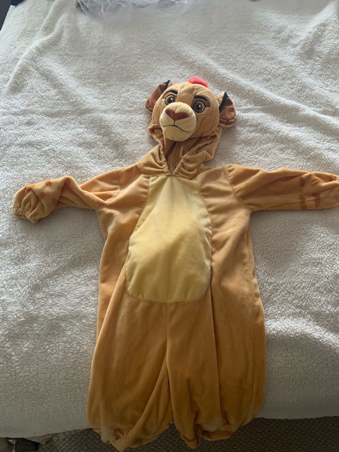 Halloween costume 