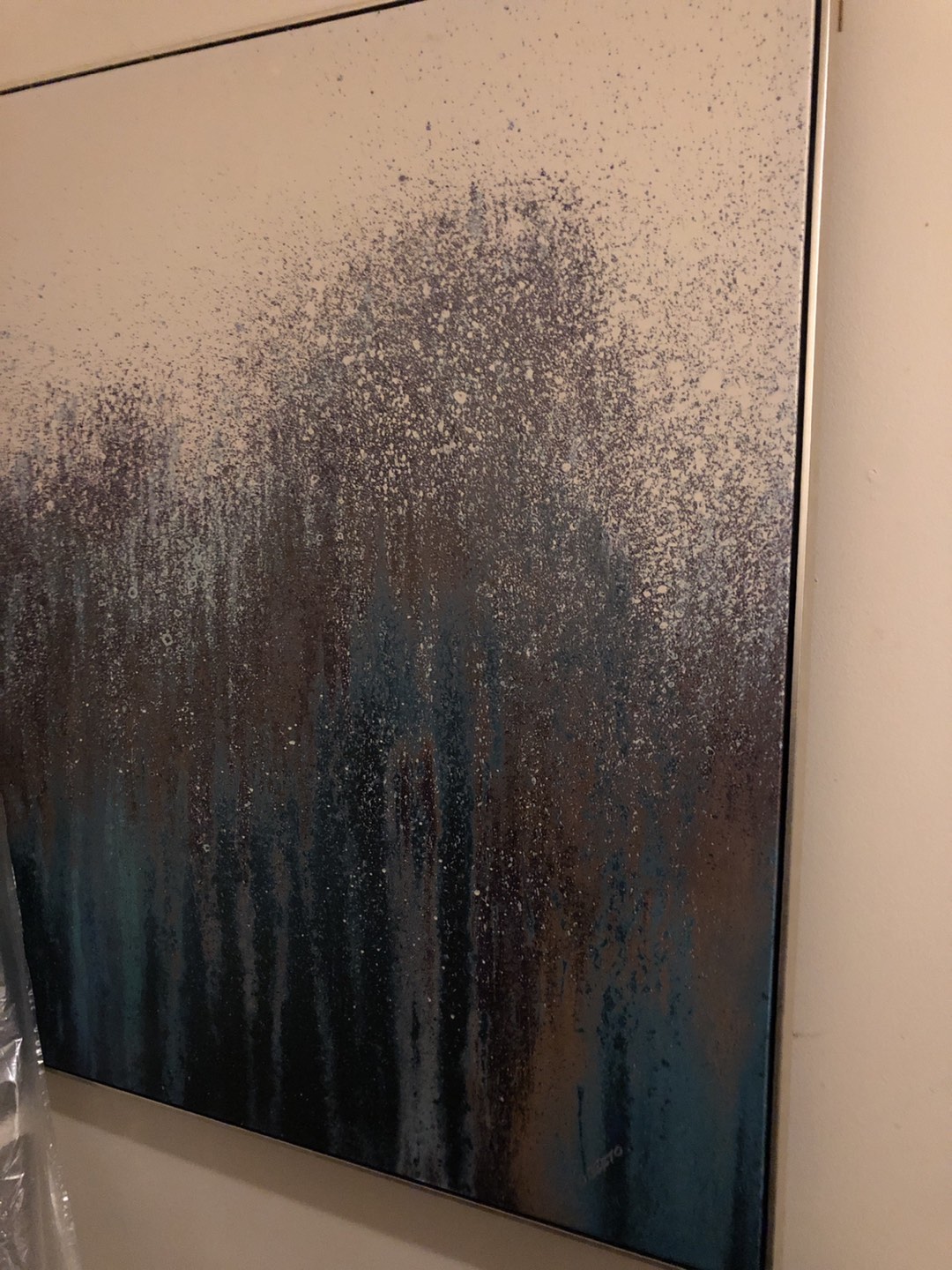 Beautiful framed canvas picture from Homesense for 80
