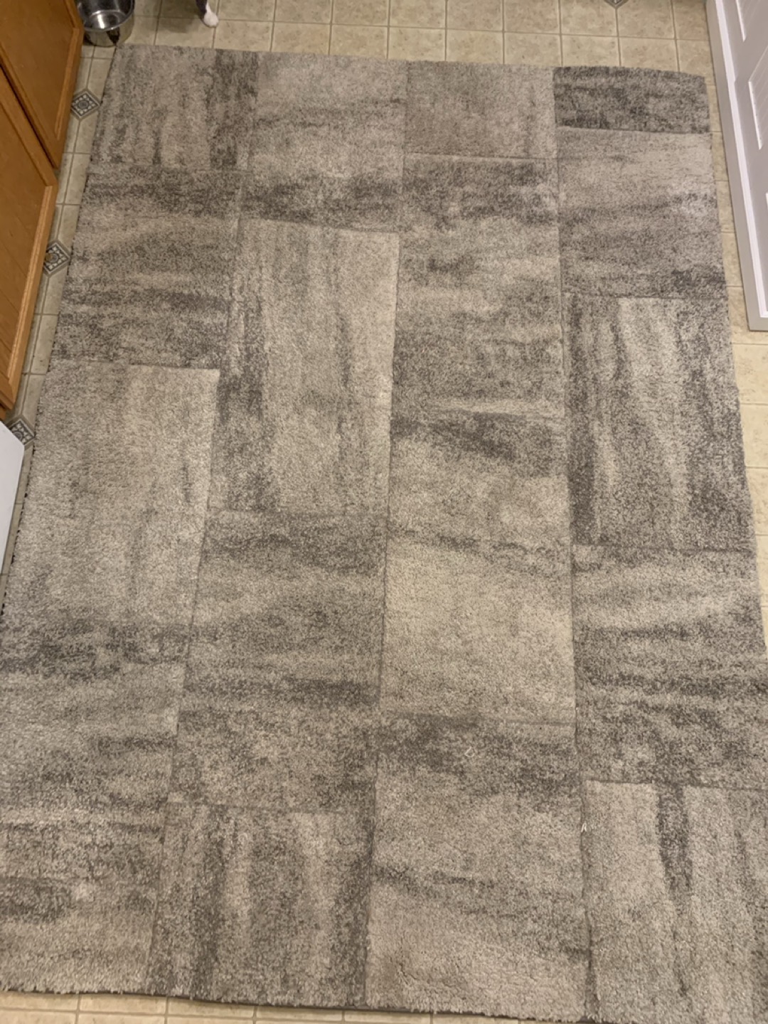 Area Rug - photo 4