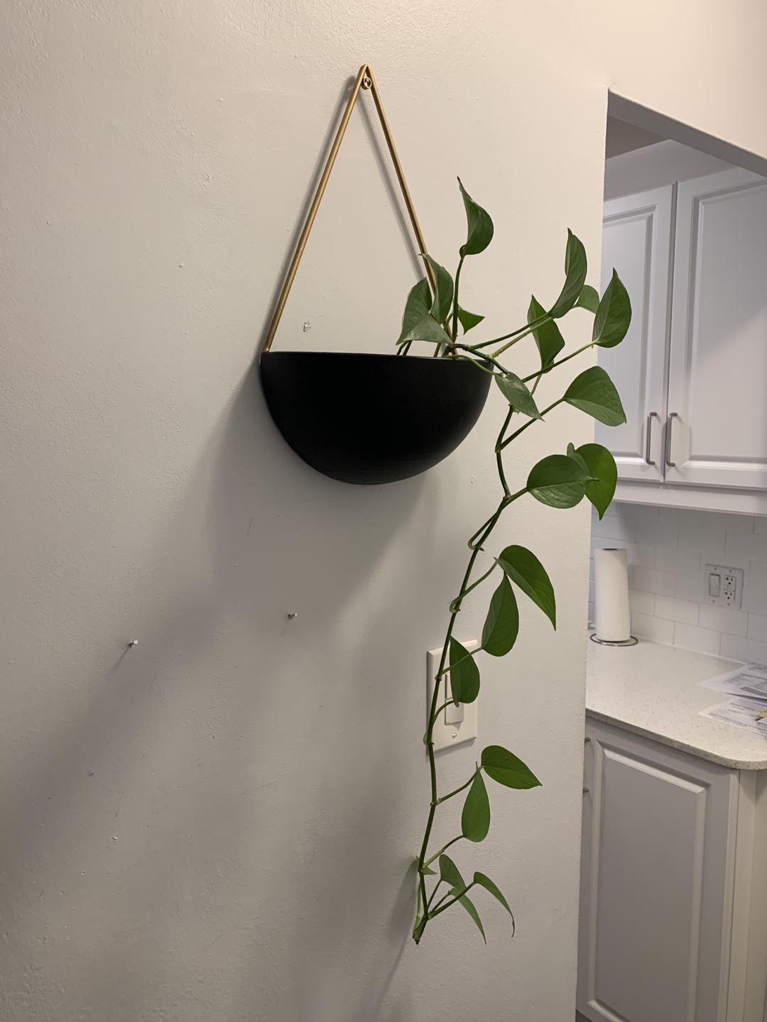 Hanging plant with basket  - photo 5