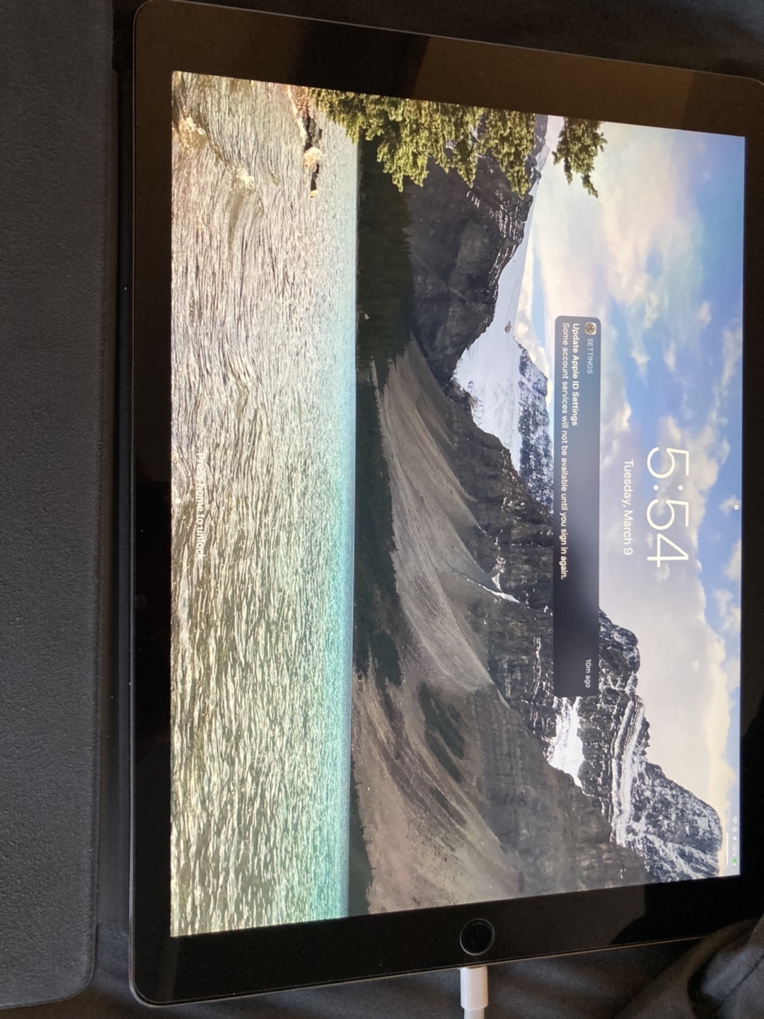 IPad Pro 12.9 inch 64 gb 2nd gen