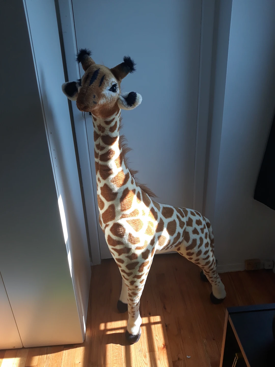 giant giraffe