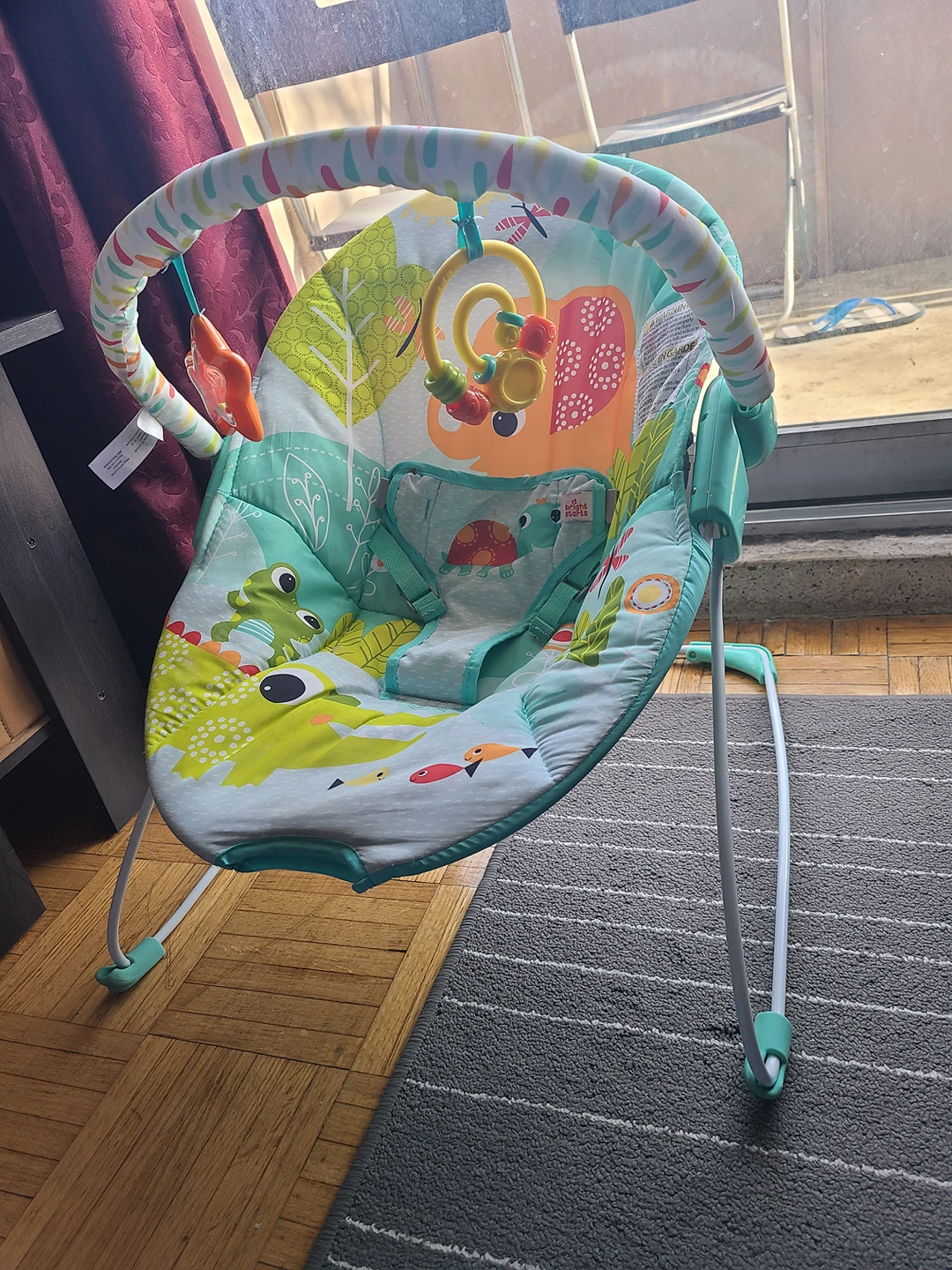 Baby Bouncer