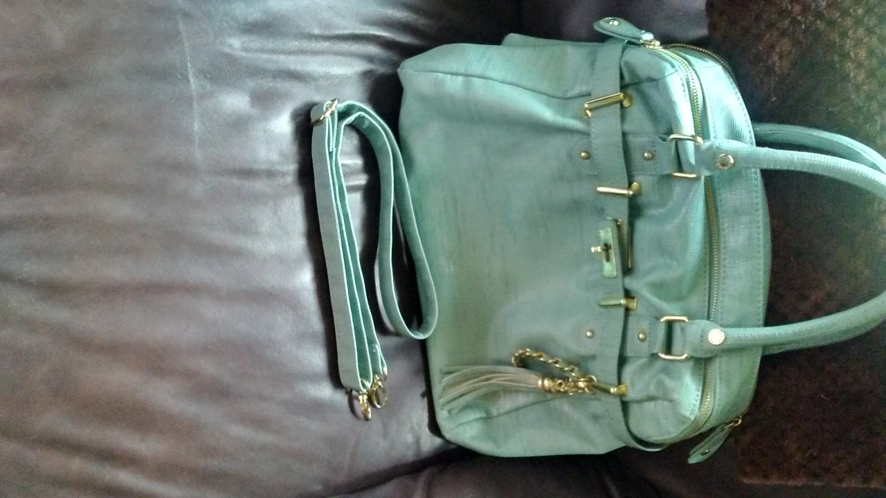 Steve Madden handbag. Incredible shoe/bag designer. image indicator(4)