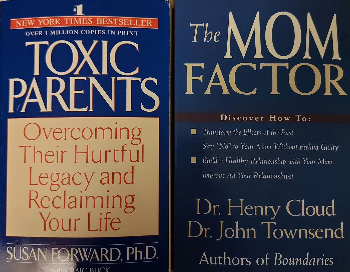 toxic parents and the mom factor thumbnail