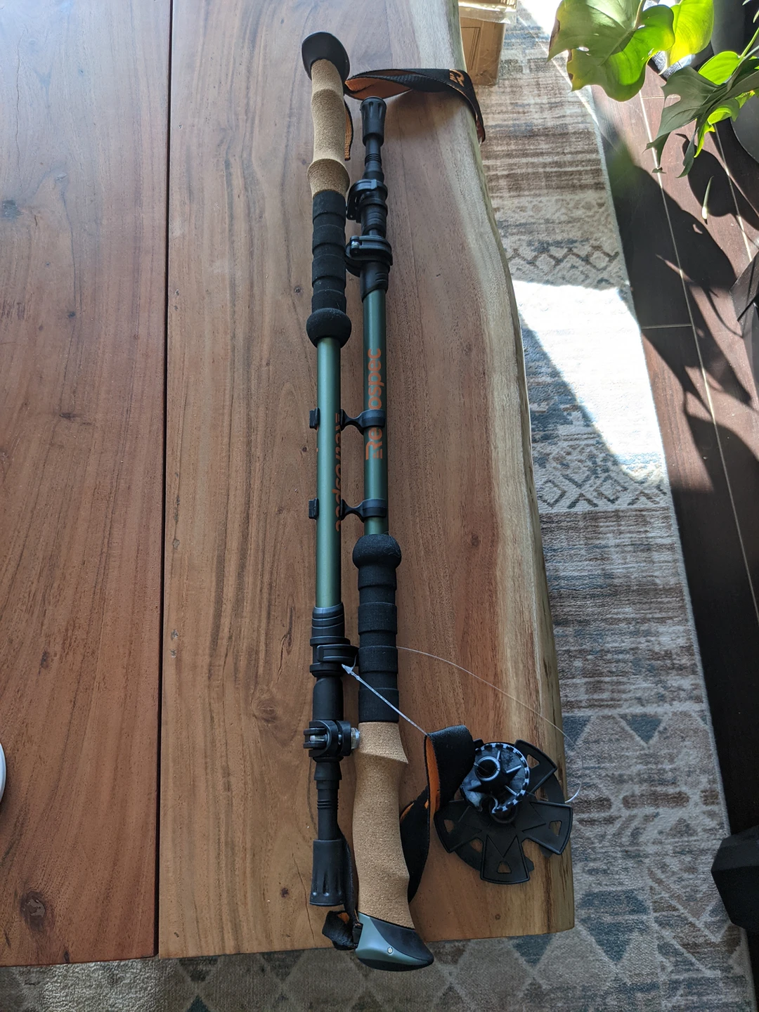 New Walking Poles
