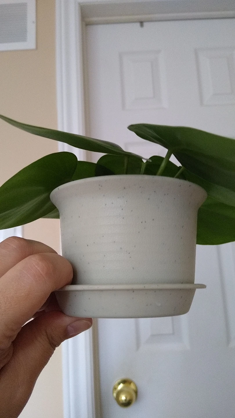 Indoor Plant image indicator(2)