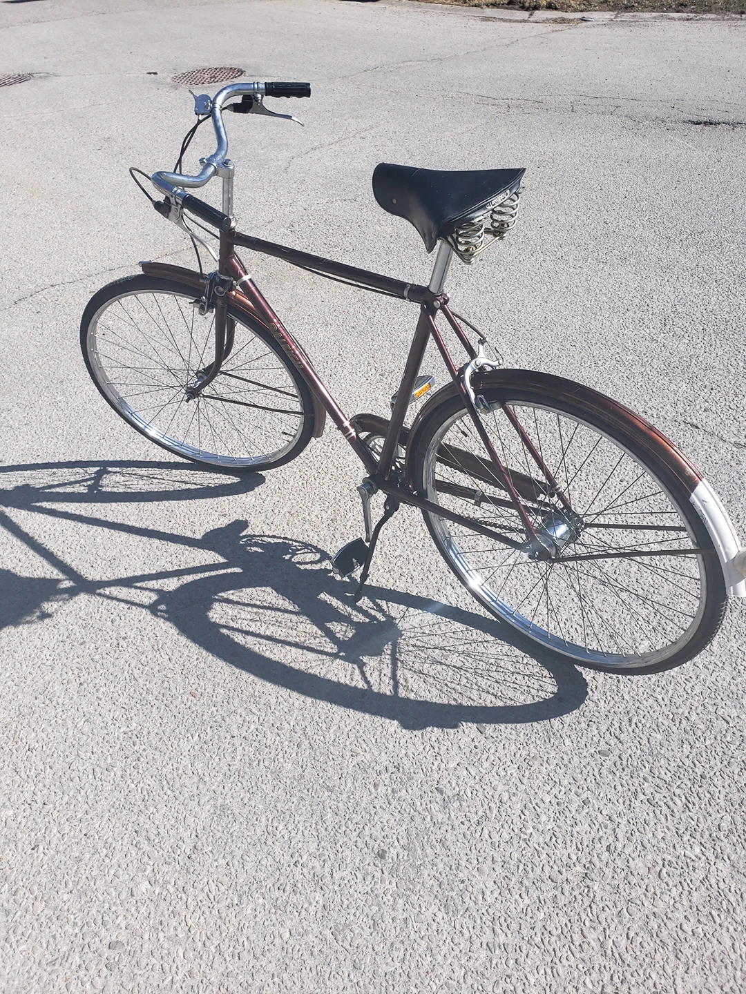 Opportunity, Vintage 1972 Raleigh Cruiser thumbnail