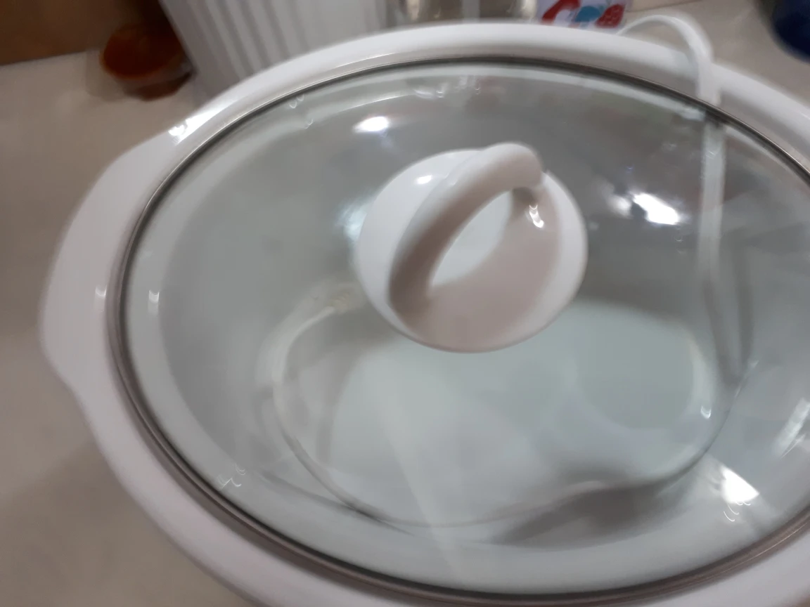 slow cooker - photo 2