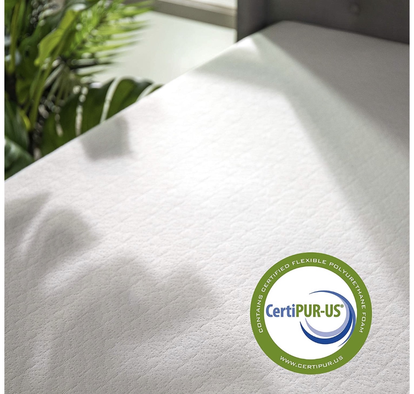 Zinus Twin Mattress (10inch) 