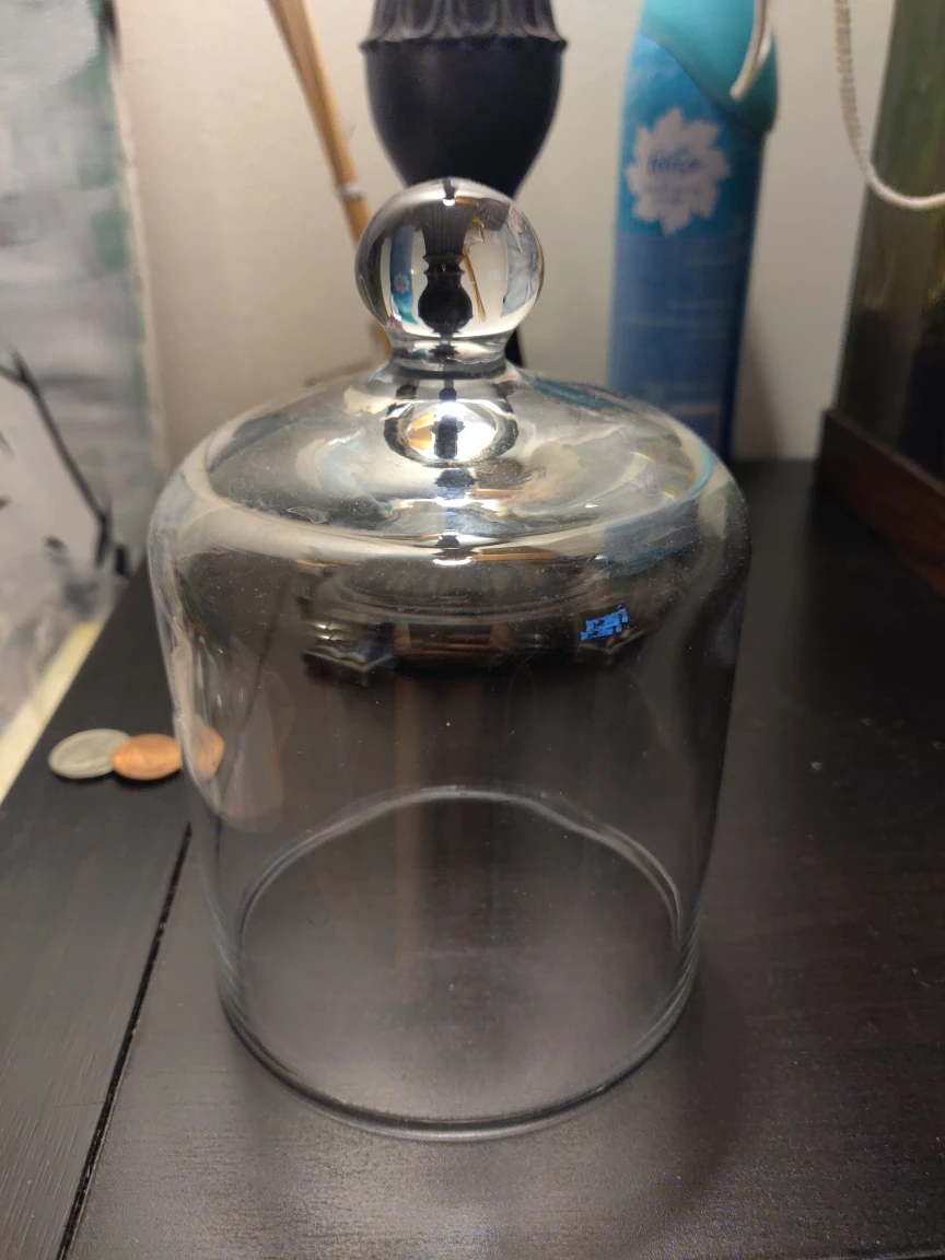 glass candle cloche/snuffer