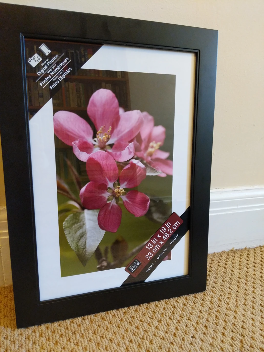 Michaels 13x19 photo frame