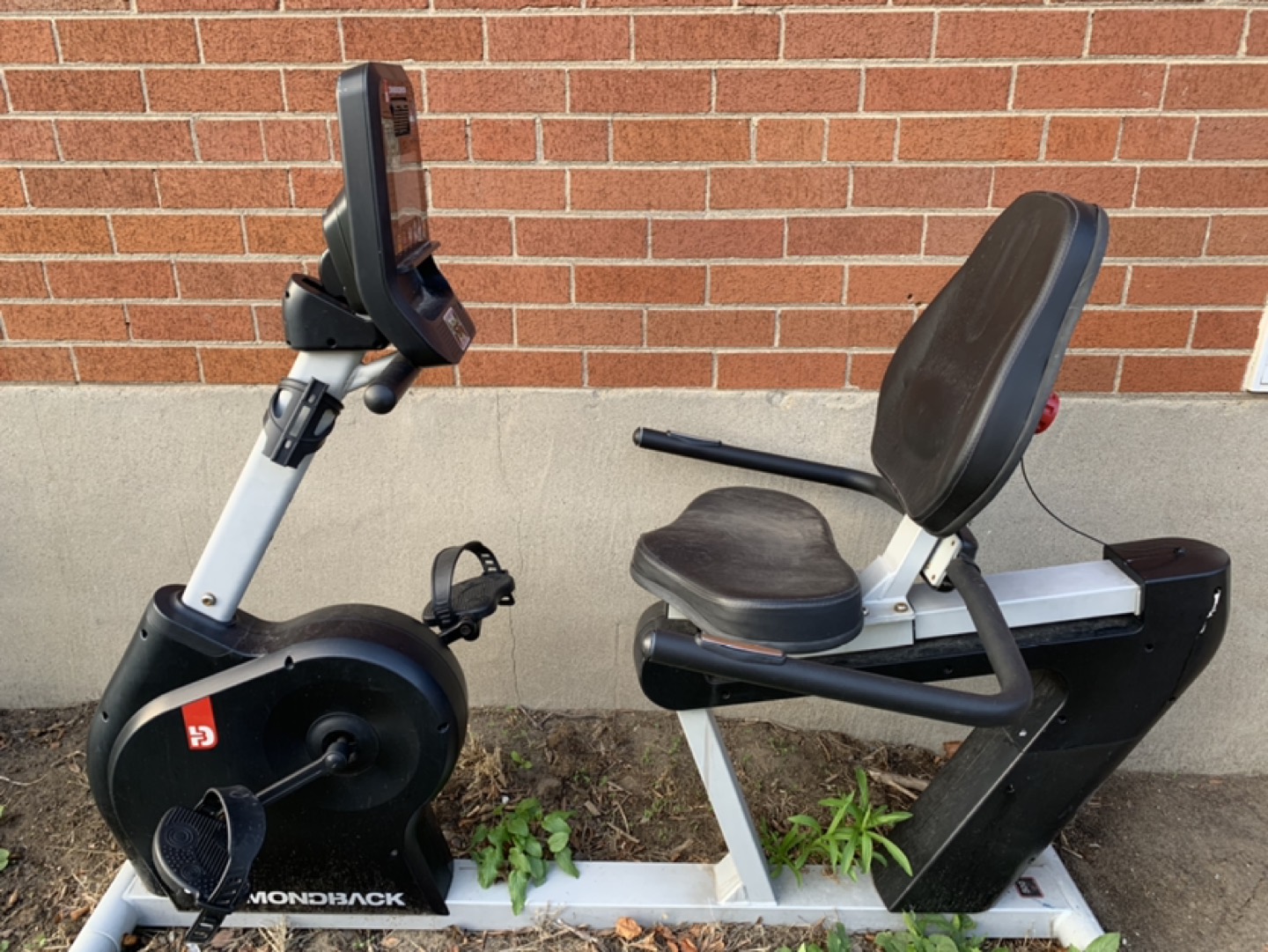 Workout cycle