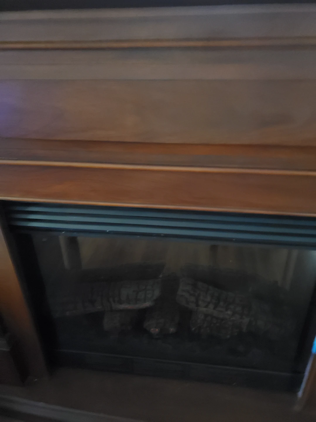 Fireplace insert