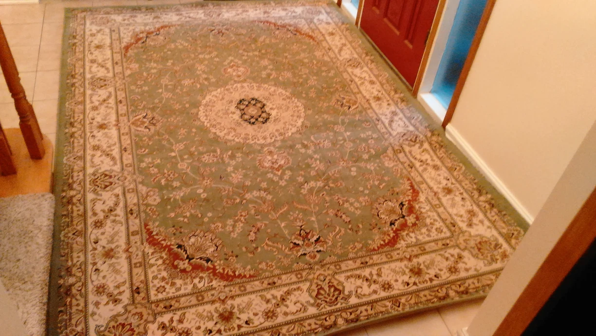 carpet - photo 2