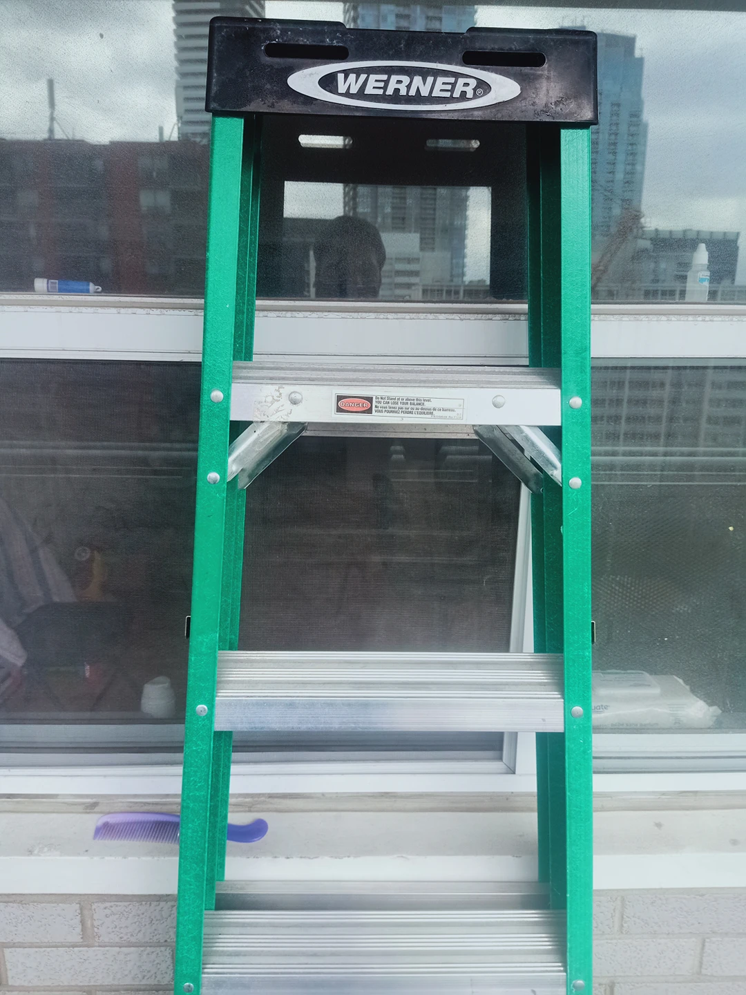 Werner Ladder