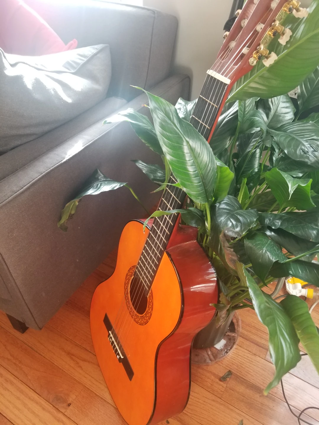 Spanish Classical Guitar with Stand and Pedal - photo 2
