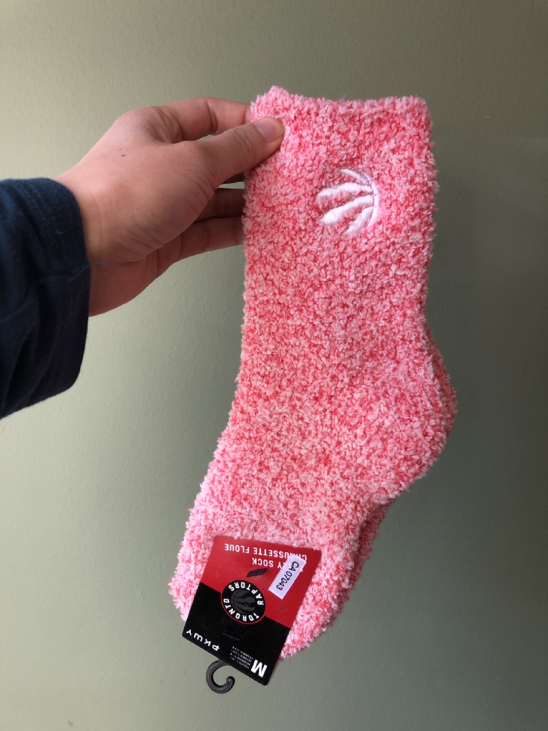Raptors Fuzzy Socks