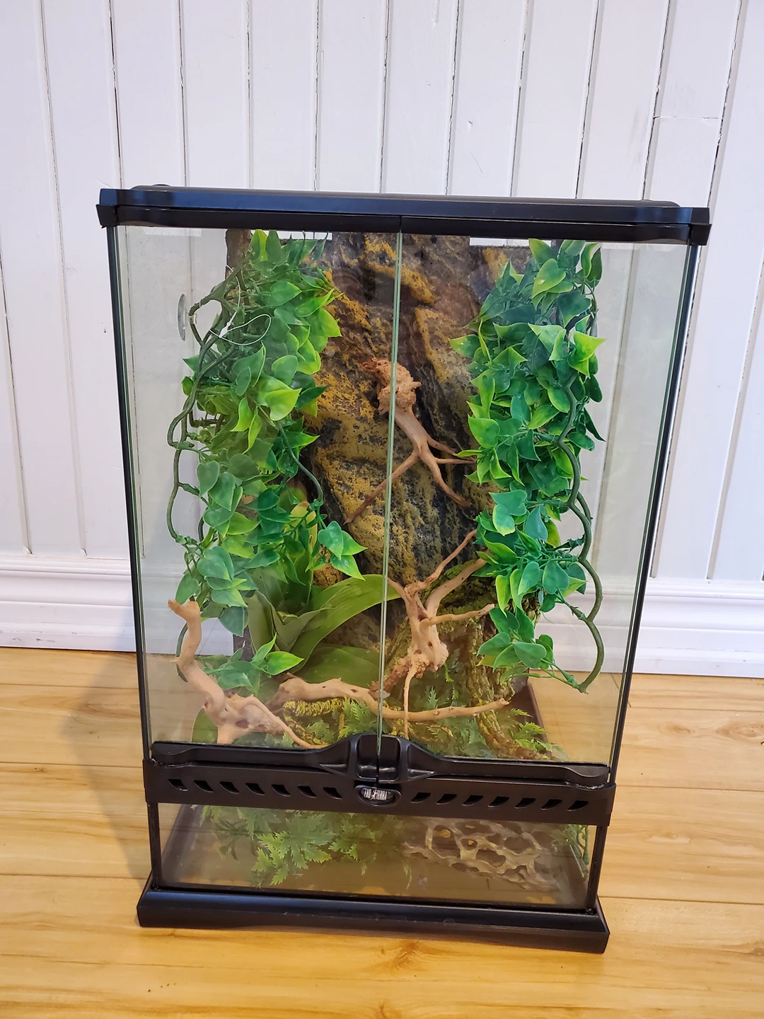 Reptile Terrarium complete