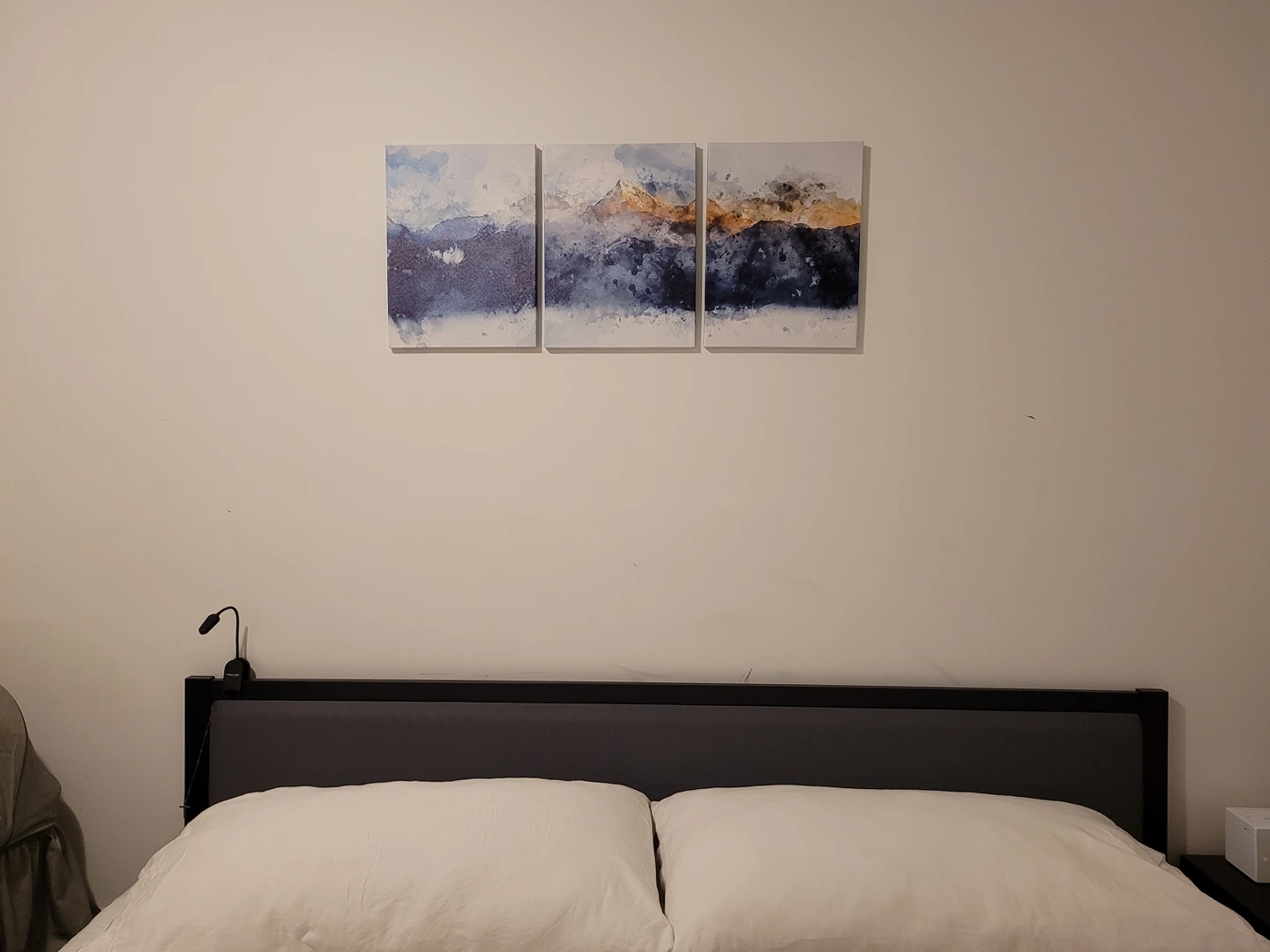 Canvas Prints - photo 3