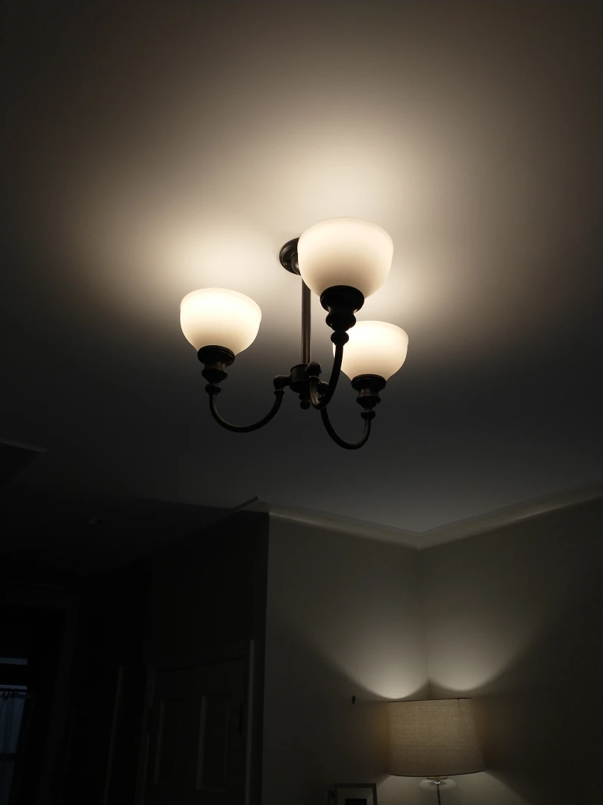Ceiling light fixture - photo 3