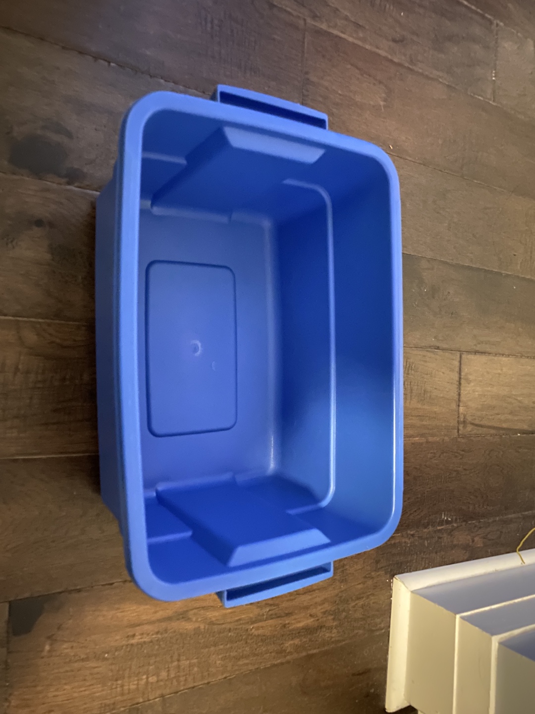 Rubbermaid 11L tote container