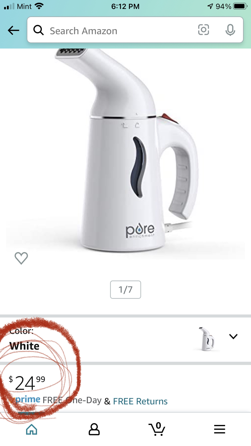 PureStream Portable Fabric Steamer