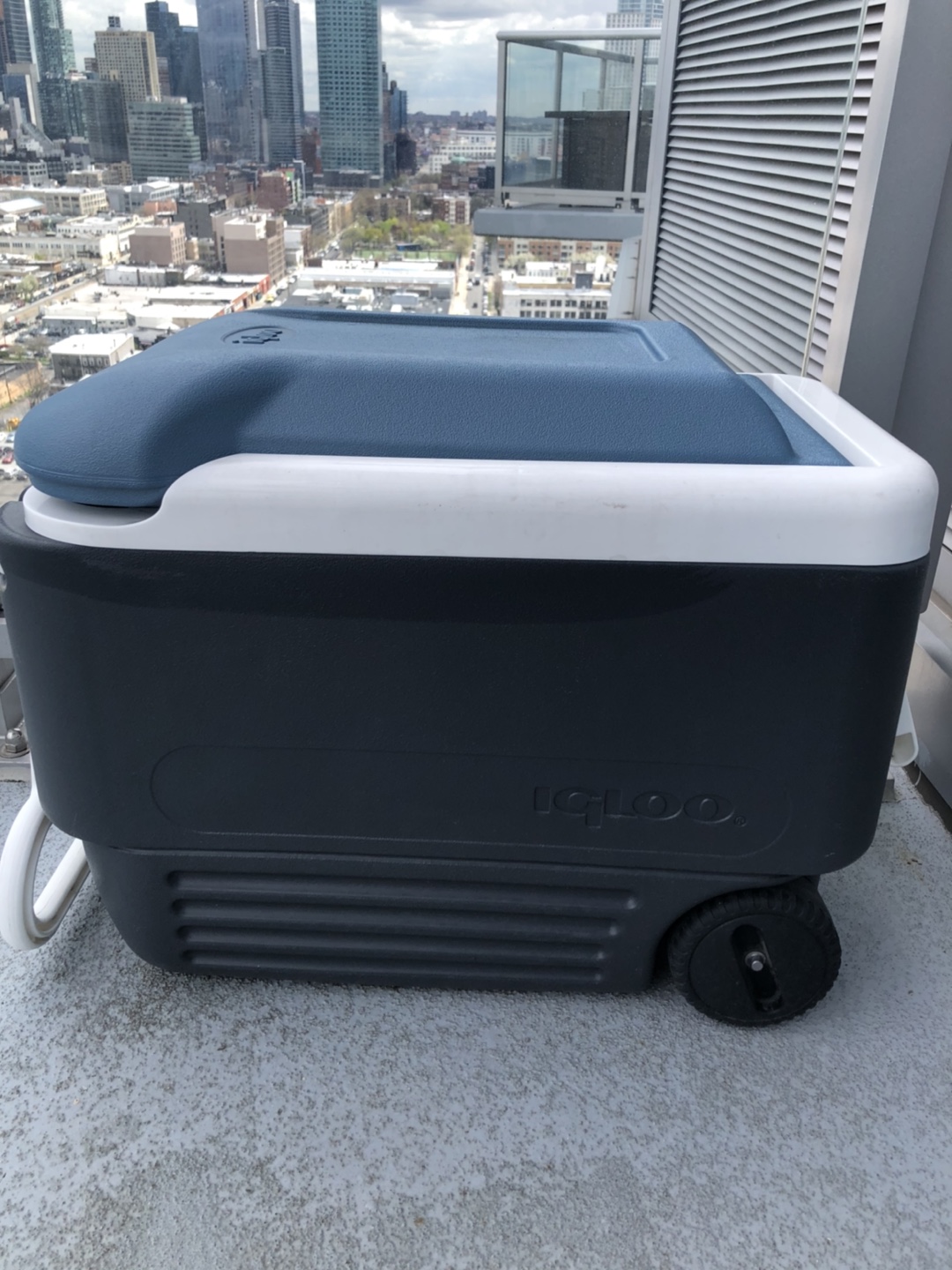 Igloo quart MacCold cooler