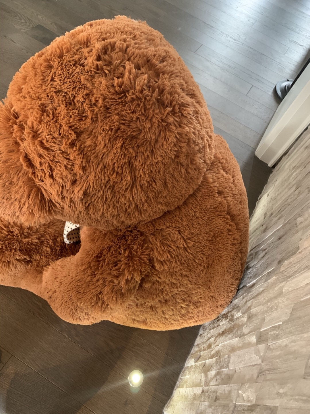 Jumbo bear, very soft , NEW image indicator(4)