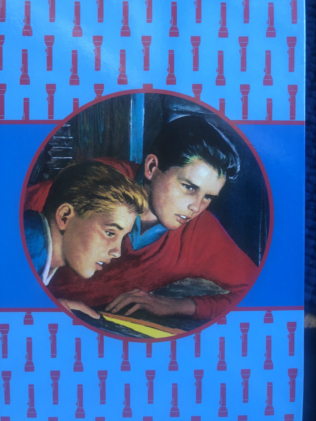 Brand New Collection of “ The Hardy Boys”
