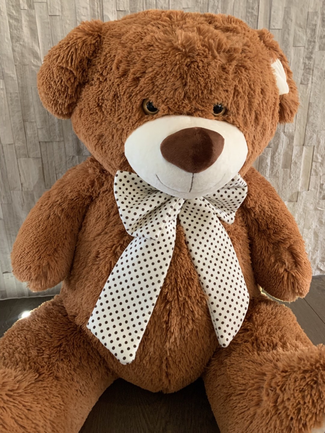 Jumbo bear, very soft , NEW image indicator(6)