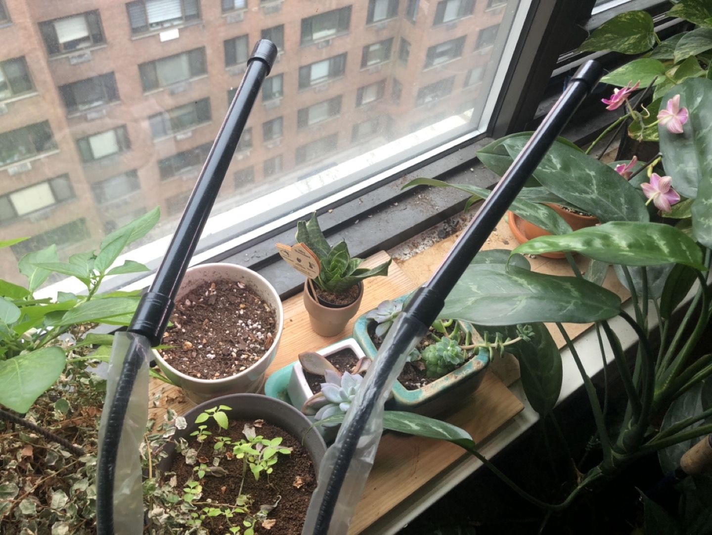 Plant Growing Led light - photo 3