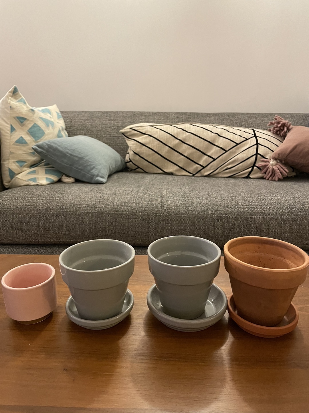 Assorted pots for plants