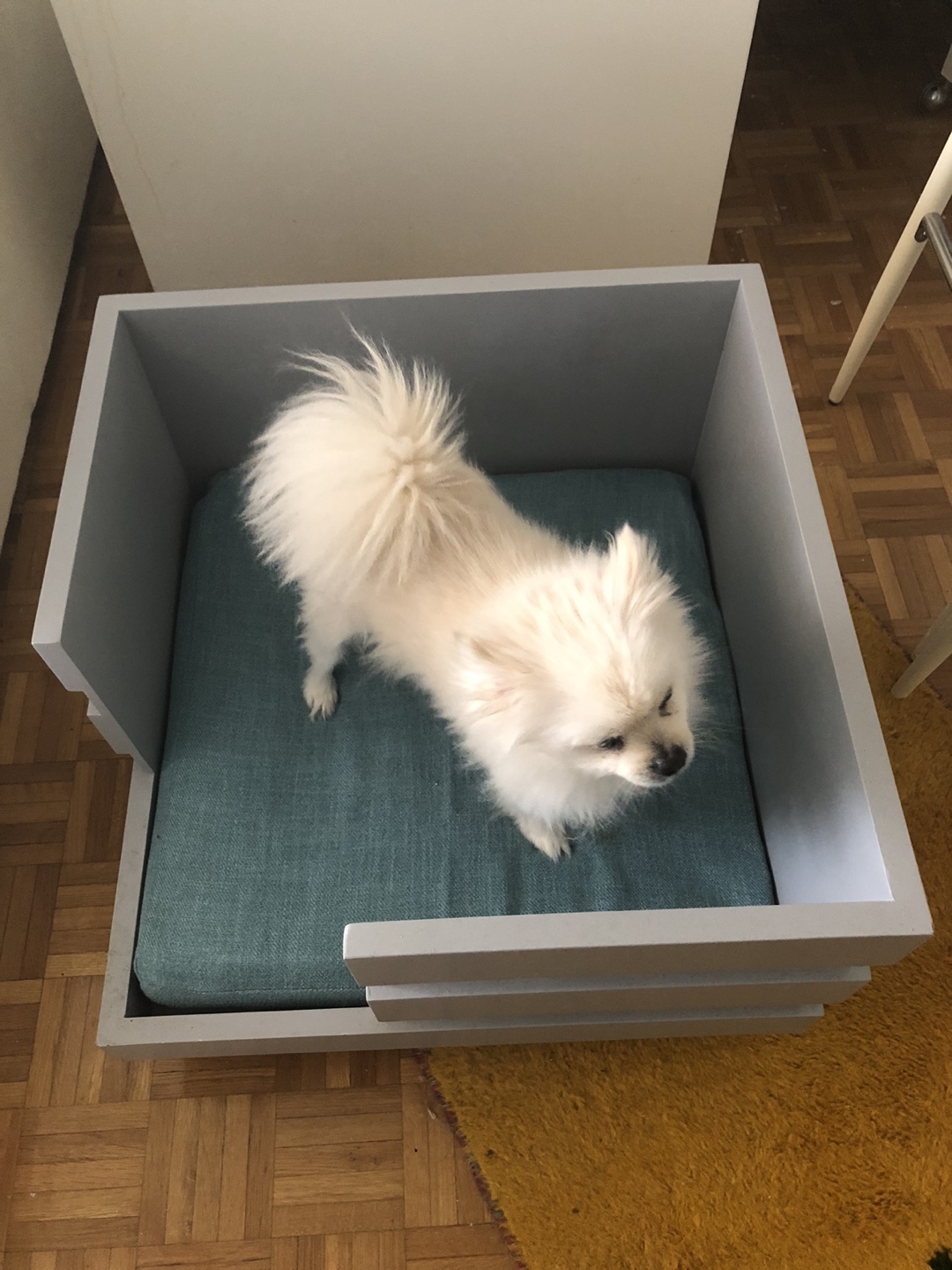 Dog bed thumbnail