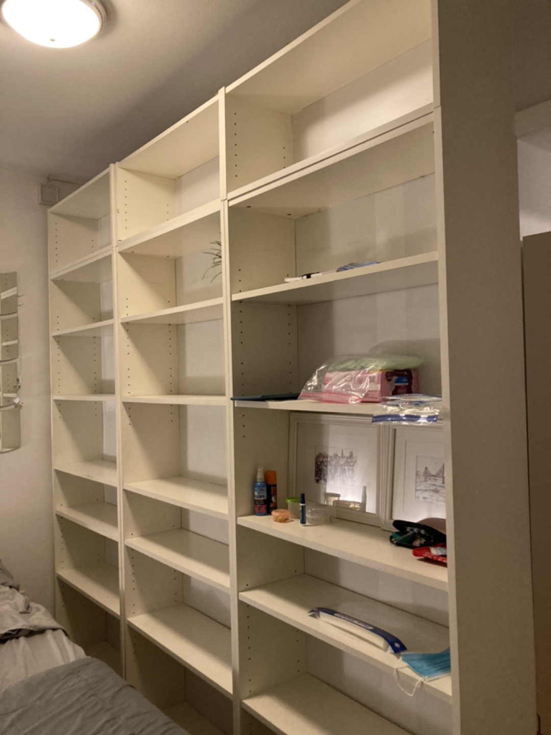 Bookshelf Wall