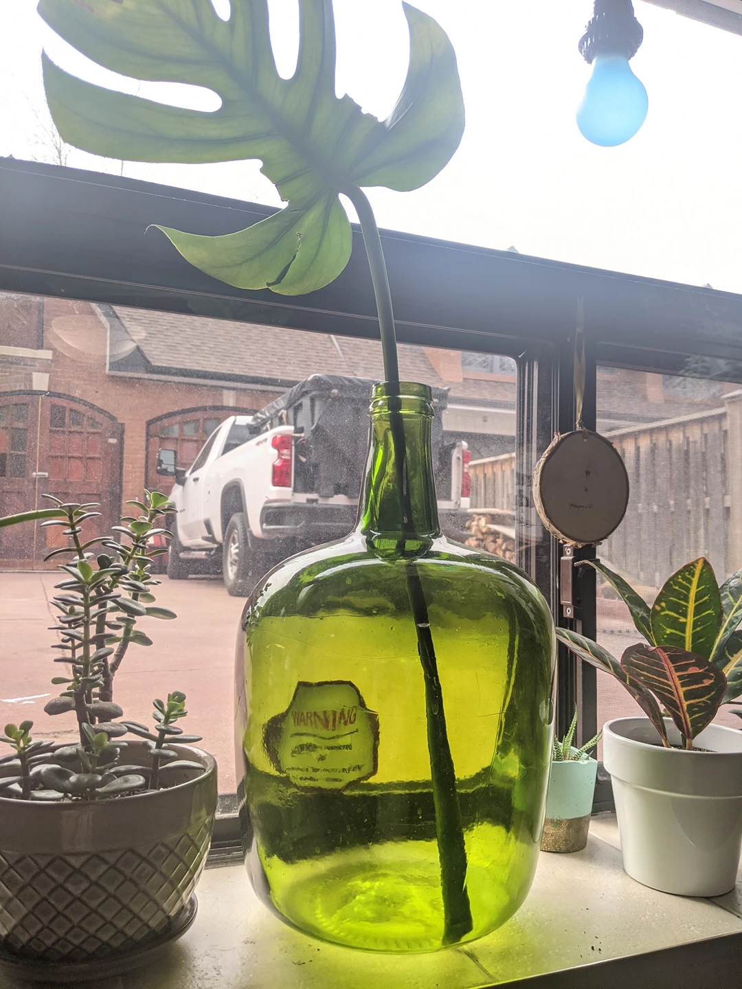 Large Green Vase