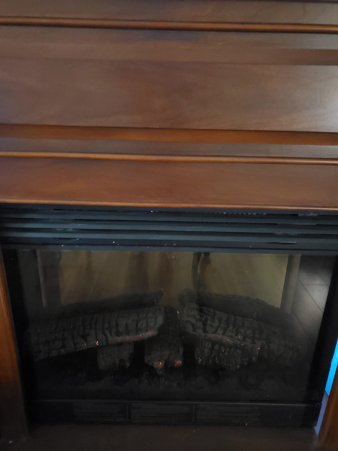 Fireplace insert - photo 2